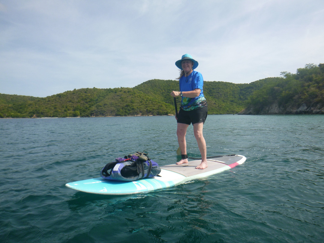 Virgin Islands Ecotours-圣 托马斯必去景点
