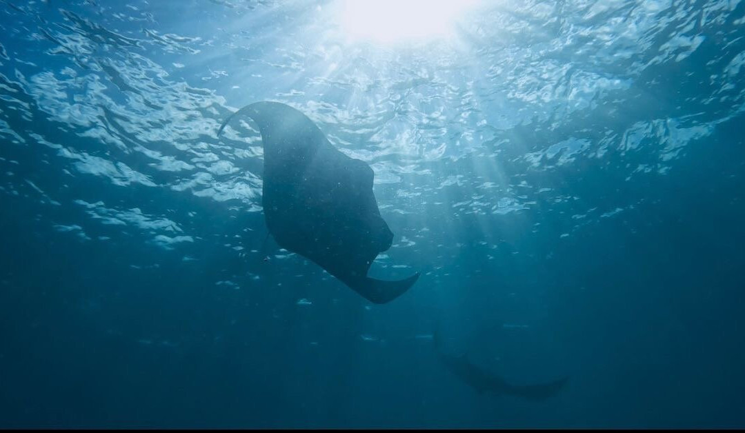 Wild Scuba Indonesia-Gili Asahan必去景点