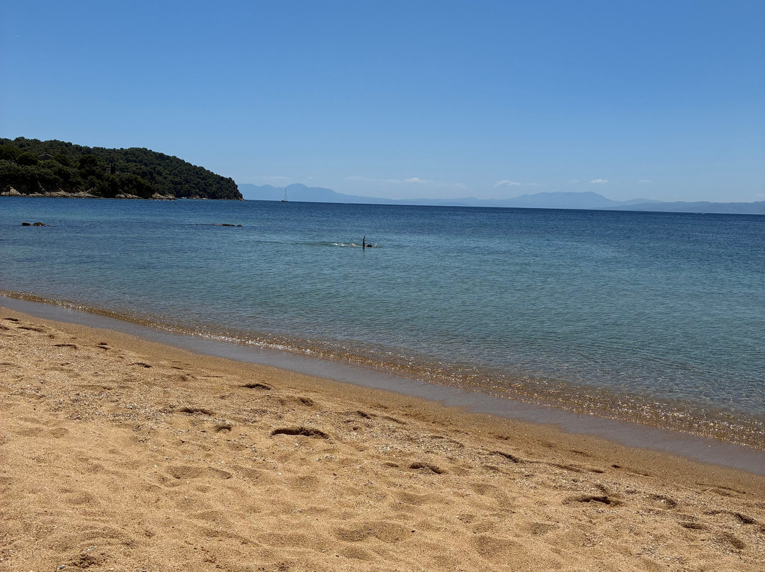 Agia Paraskevi Beach-Platanias必去景点
