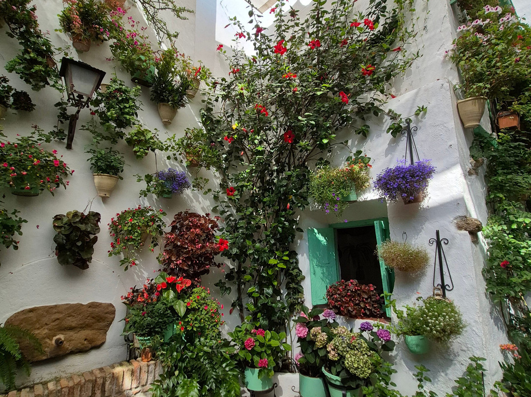 Los Patios de San Basilio-科尔多瓦必去景点