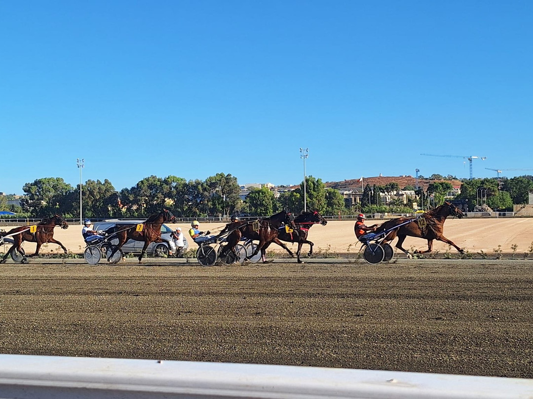 Malta Racing Club-Marsa必去景点