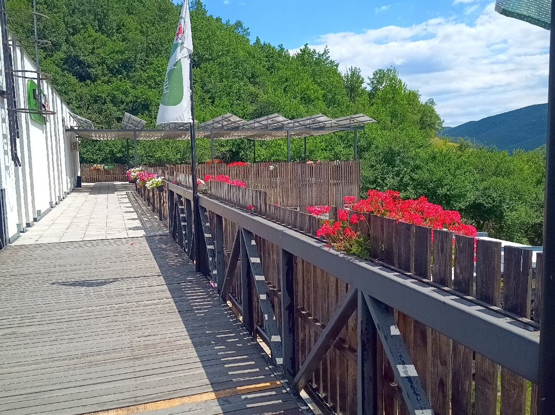 BEAR SANCTUARY Prishtina-普里什蒂纳必去景点