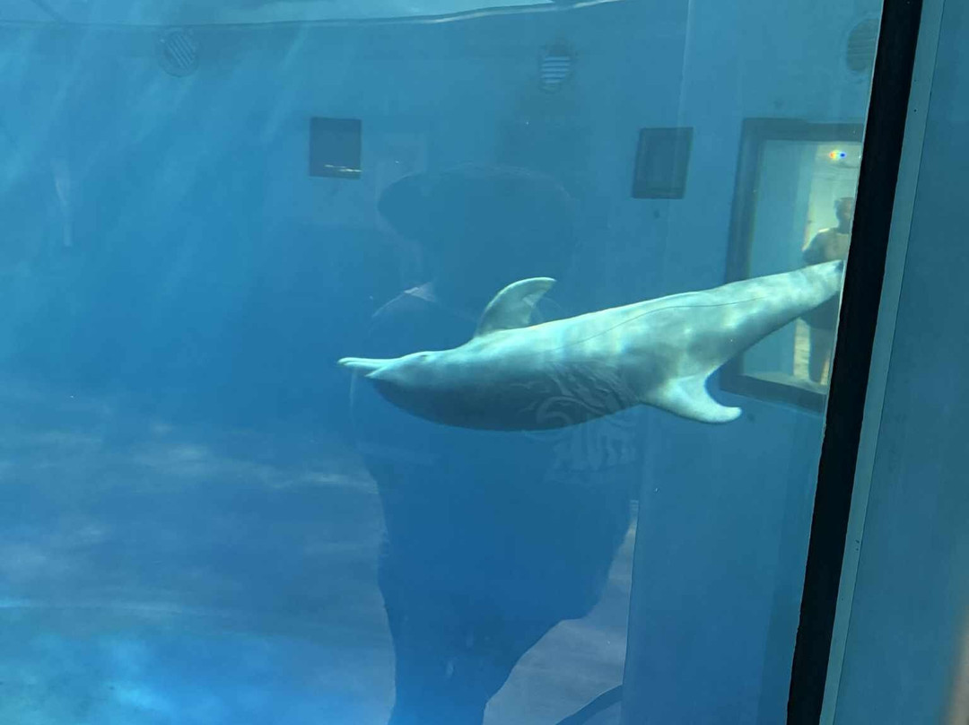 Indianapolis Zoo-印第安纳波利斯必去景点