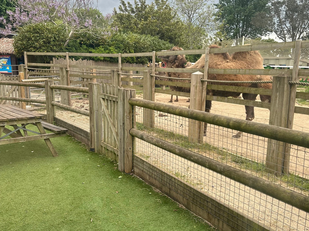 Drusillas Park-Berwick必去景点