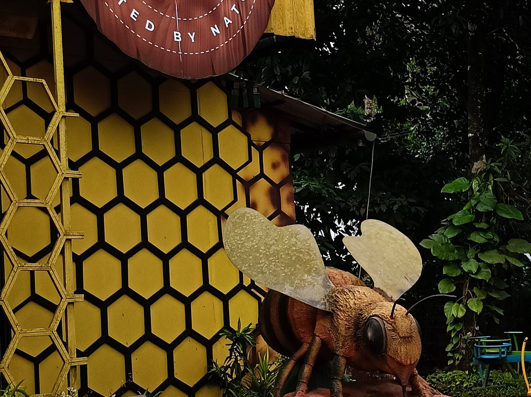 Beecraft Honey Museum-Kunnathidavaka必去景点