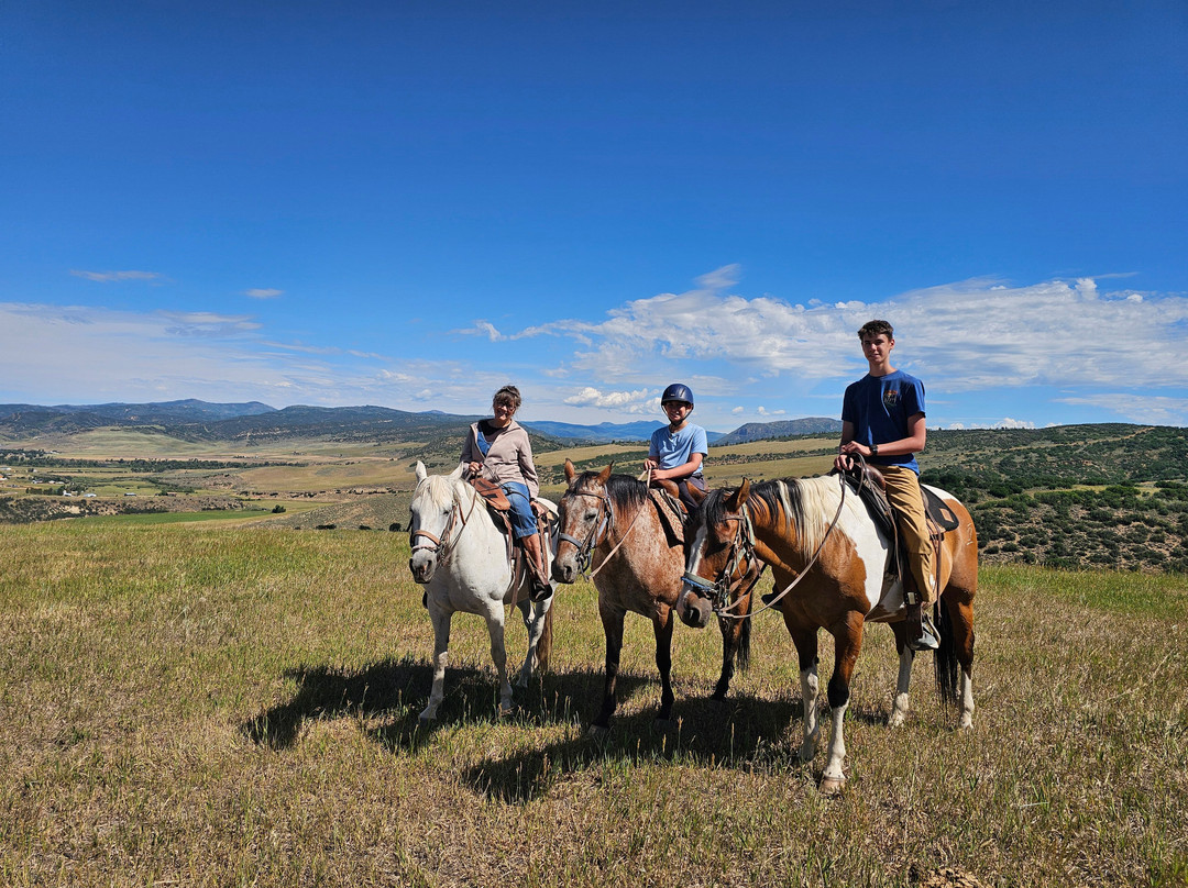 Saddleback Ranch-斯廷博特斯普林斯必去景点