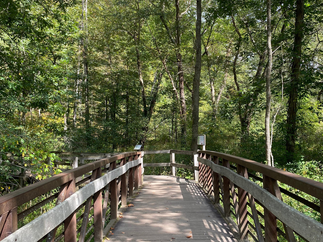 Conkles Hollow State Nature Preserve-Rockbridge必去景点