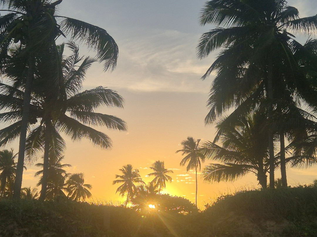 Iberostar Waves Bahia - All Inclusive主图
