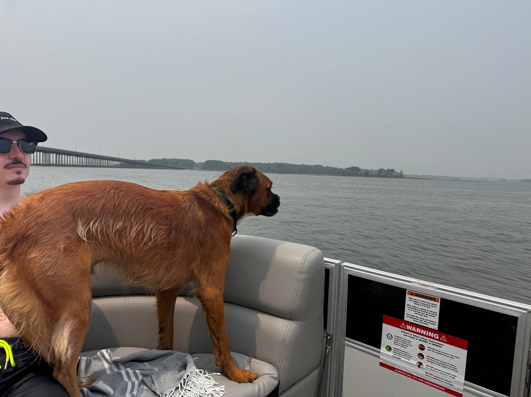 Island Watersports-Fenwick Island必去景点