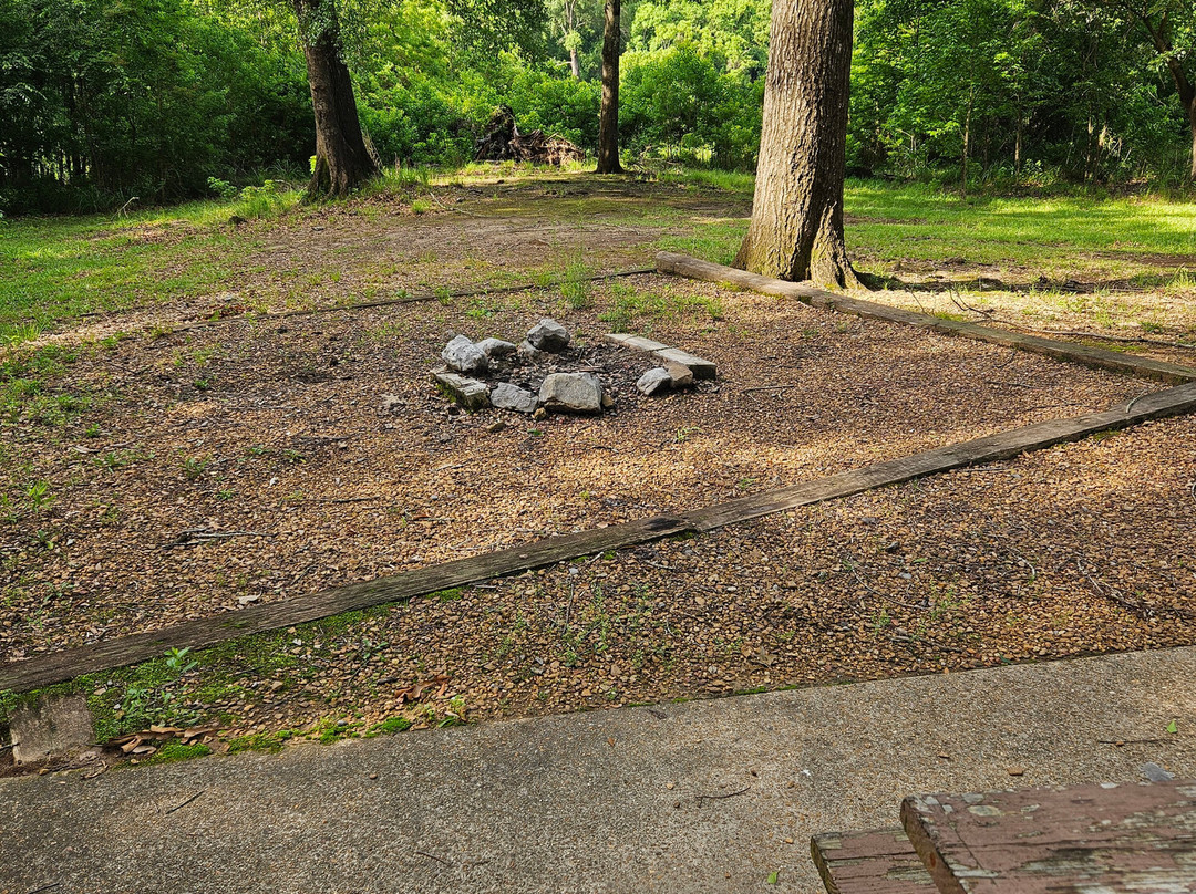LeFleur's Bluff State Park-杰克逊必去景点
