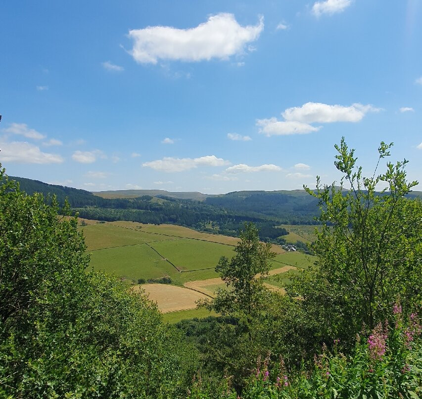 Tegg’s Nose Country Park-麦克尔斯菲尔德必去景点