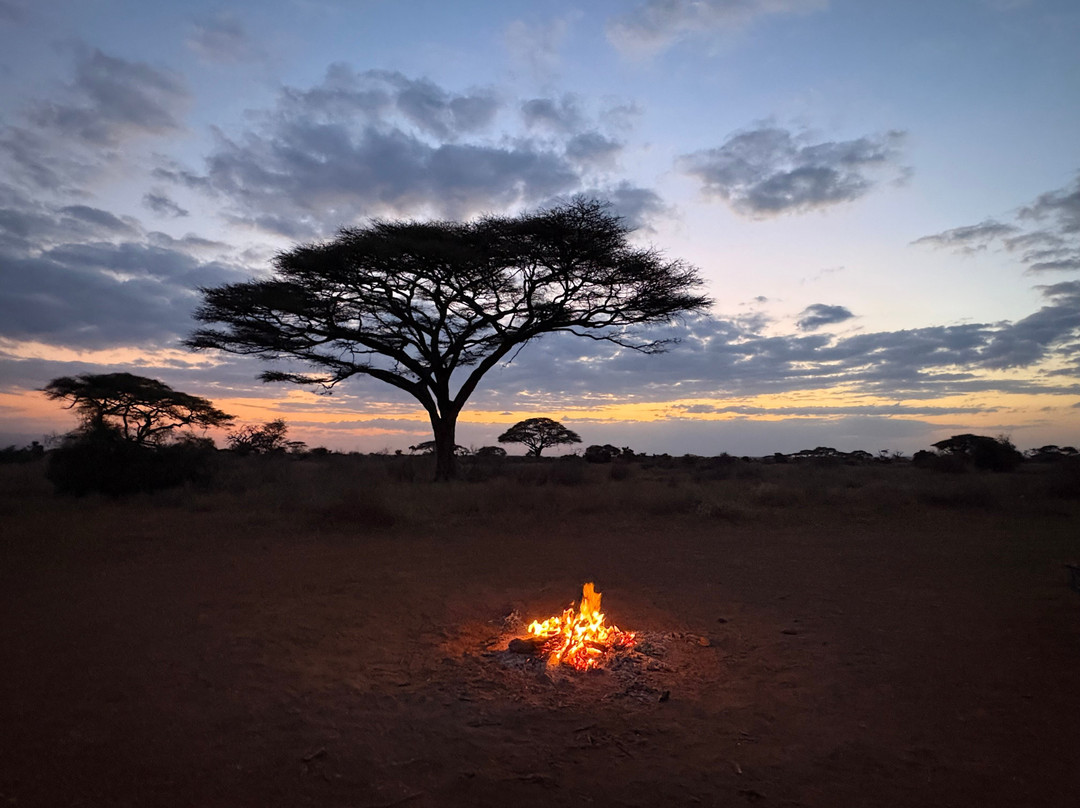 East Africa Adventure Tours and Safaris-马赛马拉国家野生动物保护区必去景点