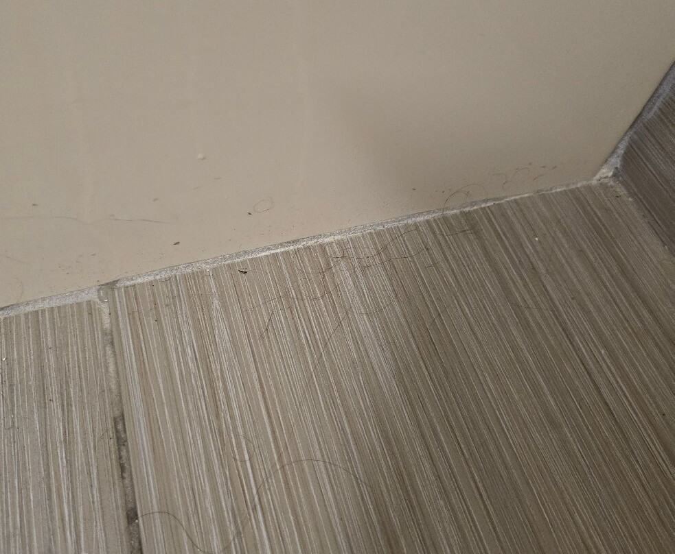 特伦顿舒适酒店主图