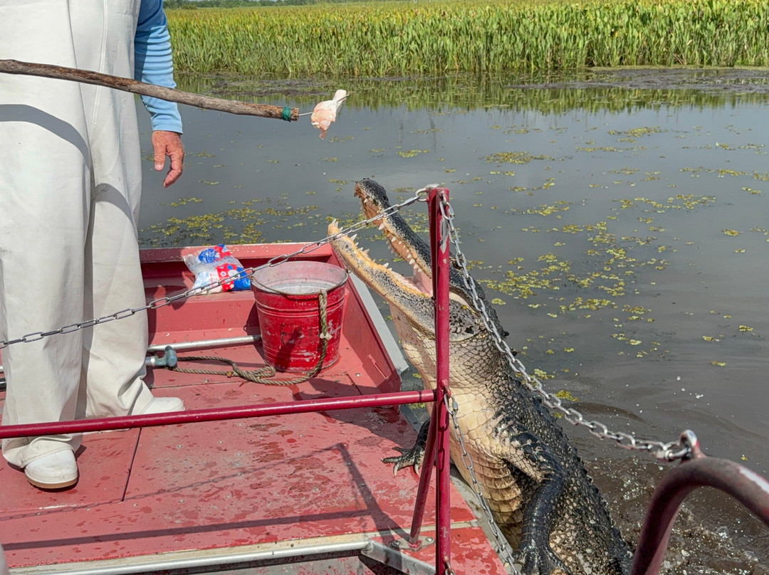 New Orleans Airboat Tours-Marrero必去景点