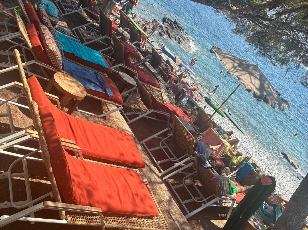 Plage Du Débarquement du Dramont-Saint-Raphael必去景点