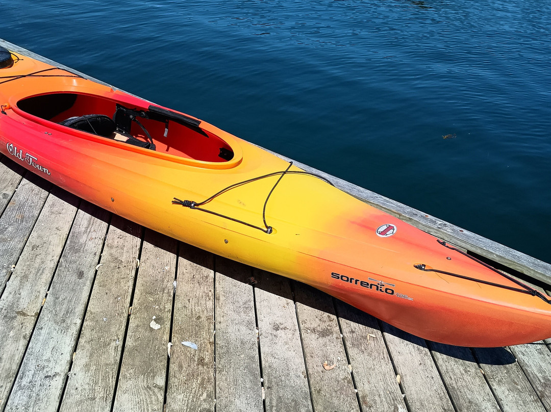 Midcoast Kayak-Damariscotta必去景点