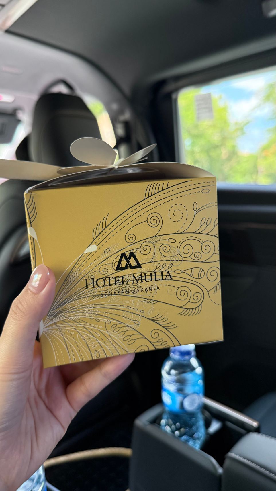 穆丽雅酒店-旅行者