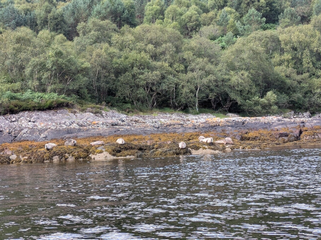 Gairloch Glass Bottom Boat Cruises-盖尔洛赫必去景点