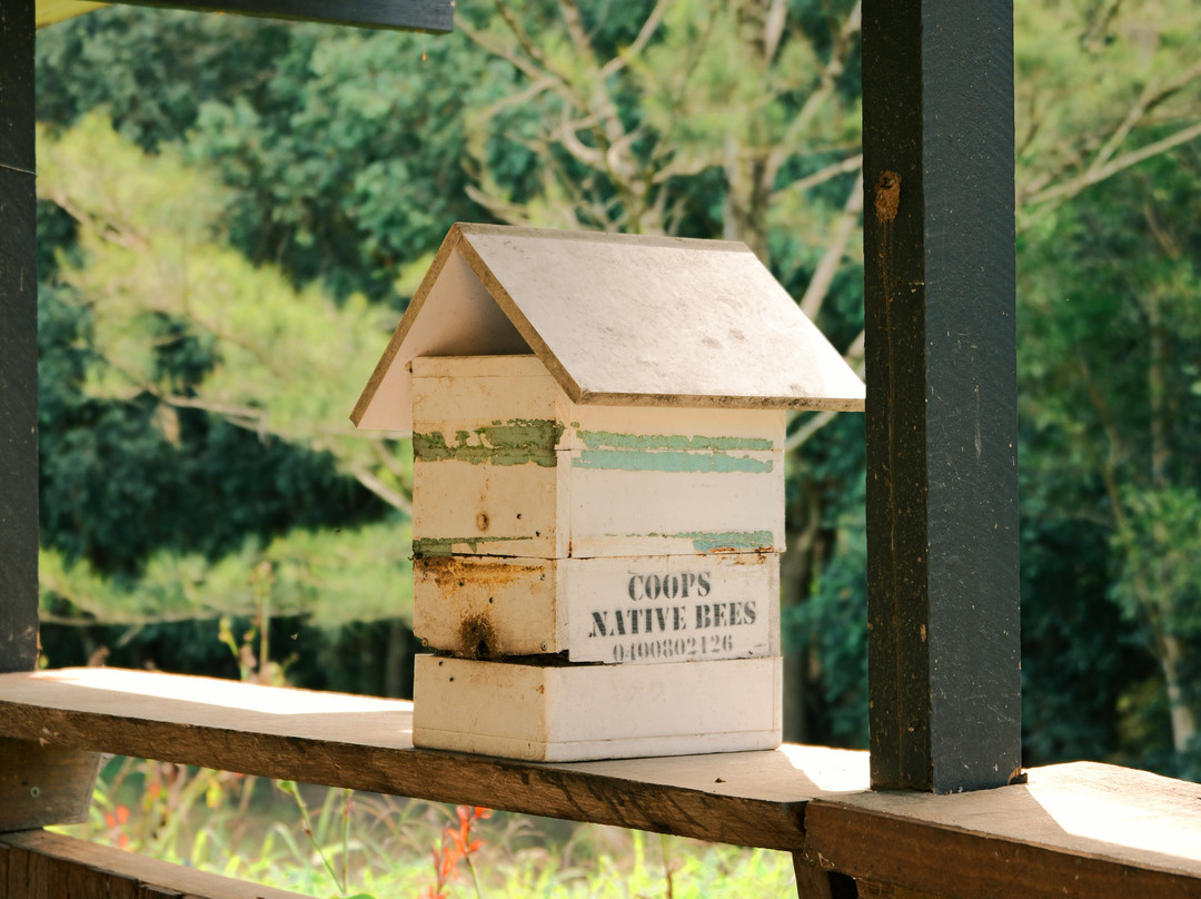 City Chicks Farm & Cafe-Samford必去景点