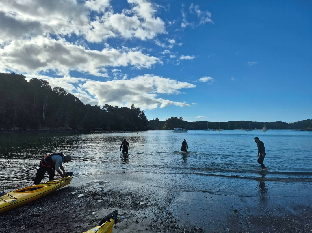 Pacific Coast Kayaks-Tutukaka必去景点
