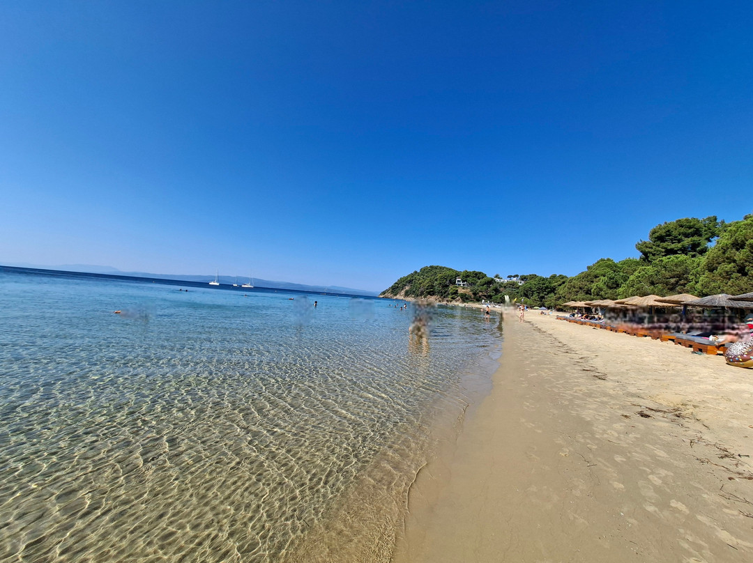 Koukounaries Beach-Koukounaries必去景点