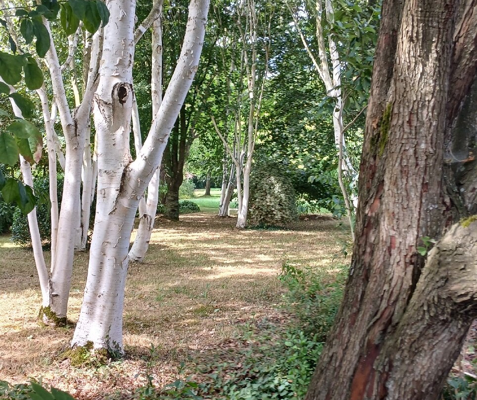 Les Jardins de Maizicourt-Maizicourt必去景点