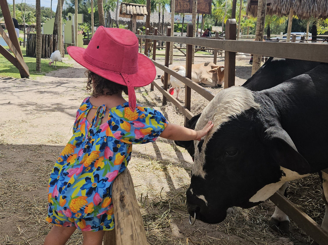 Fazendinha Adventure Park-Cumbuco必去景点