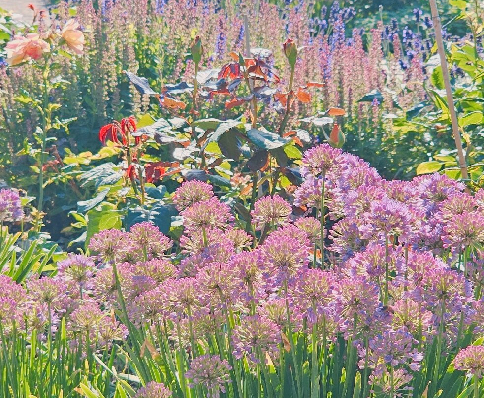Botaniska Tradgarden-维斯比必去景点
