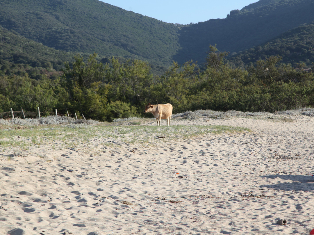 Plage de Portigliolo-Coti-Chiavari必去景点