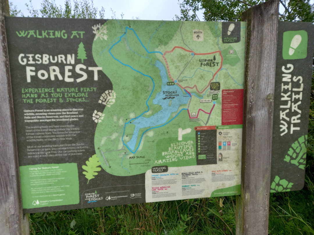 Gisburn Forest And Stocks