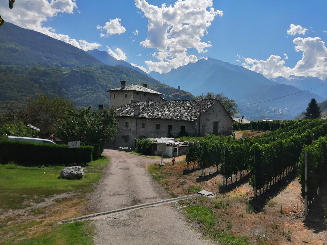 Azienda Agricola Le Grain-萨伊恩特-皮耶雷必去景点
