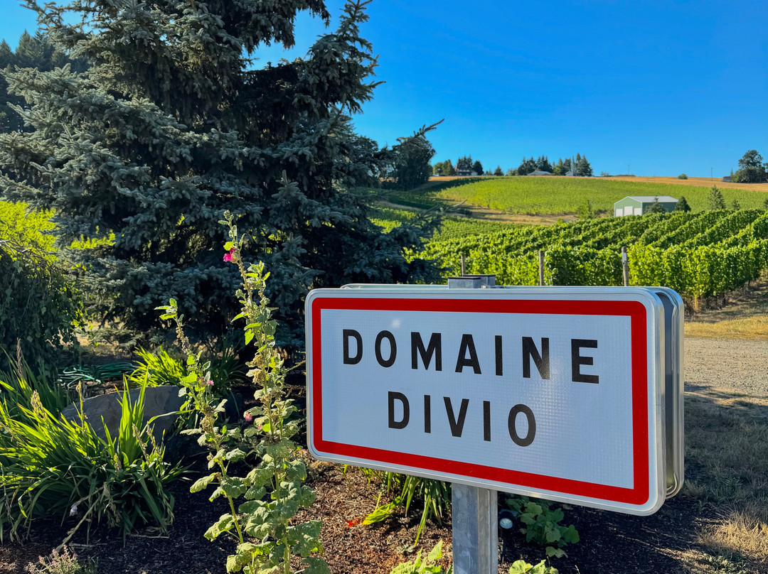 Domaine Divio-纽伯格必去景点