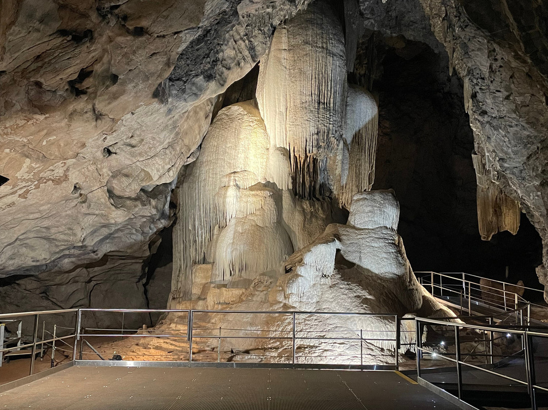 Wellington Caves & Phosphate Mine-Wellington必去景点