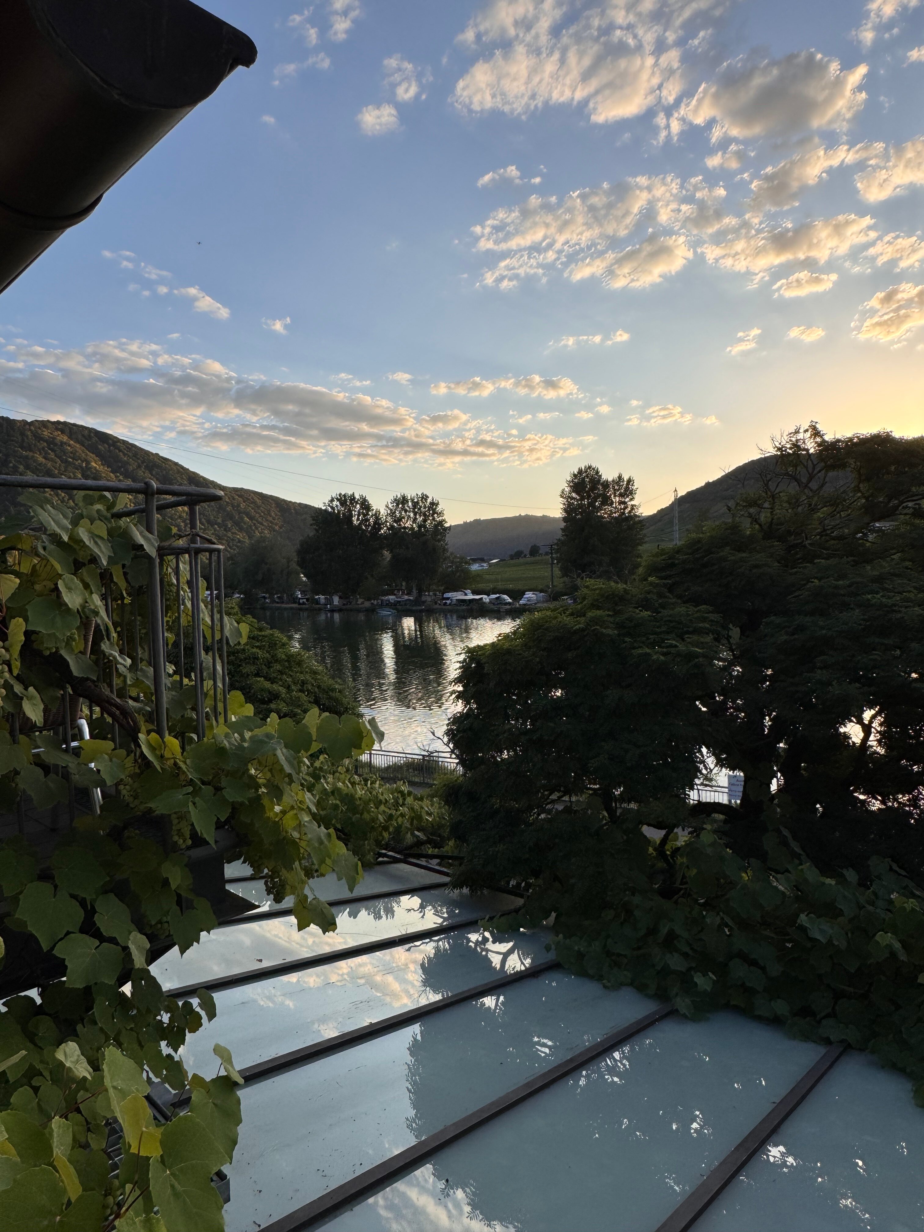 霍斯李普曼酒店-旅行者