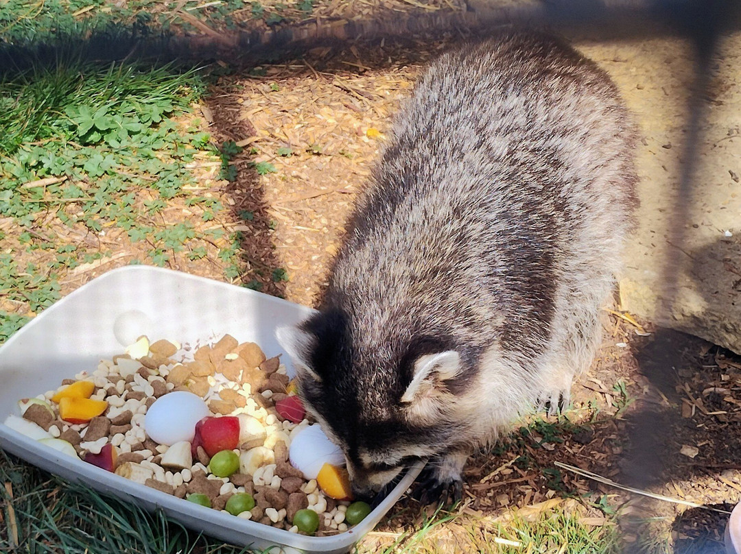Exotic Pet Refuge-彼得伯勒必去景点