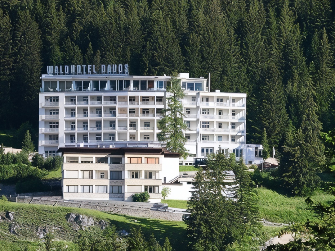 瑞士阿尔卑斯山酒店住宿-Waldhotel Davos for Body & Soul