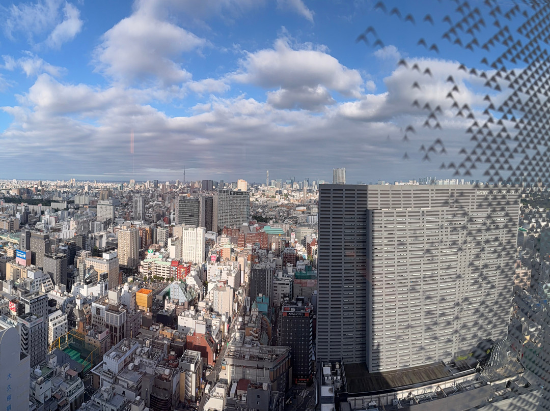 新宿宾乐雅环旅酒店主图