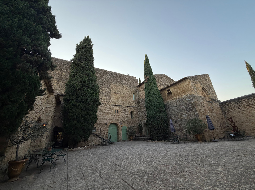 Chateau Saint-Pierre De Mejans-Puyvert必去景点
