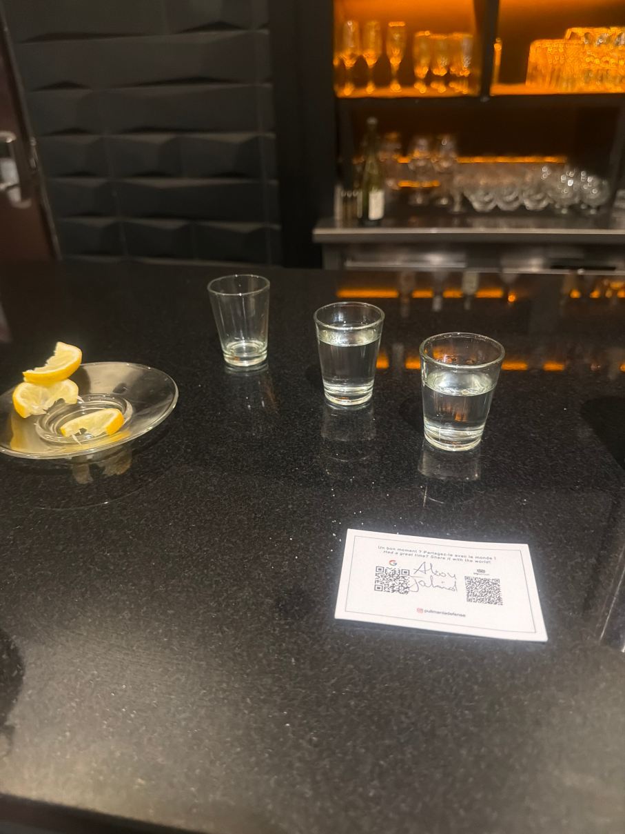 巴黎拉德芳斯铂尔曼酒店-旅行者