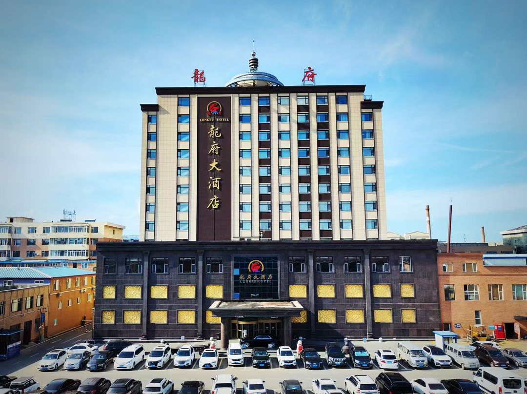 龙府大酒店(农安高铁站店)