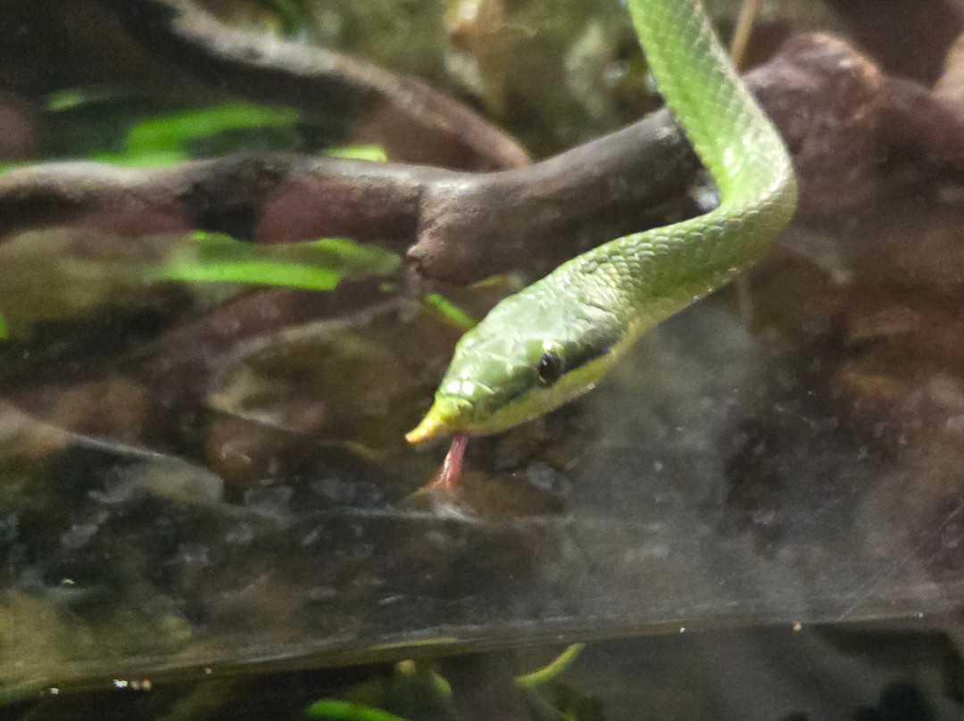 Aquarium du Perigord Noir-Le Bugue必去景点