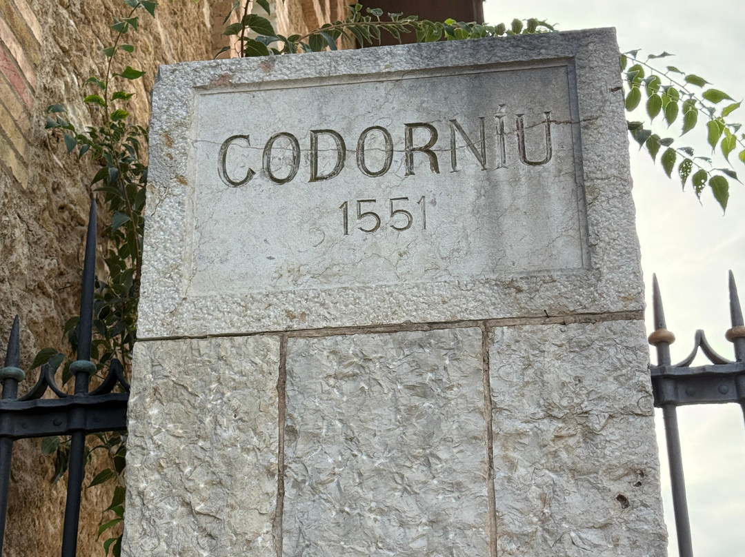 Caves Anna d’ Codorniu-桑特萨杜尔尼达诺亚必去景点