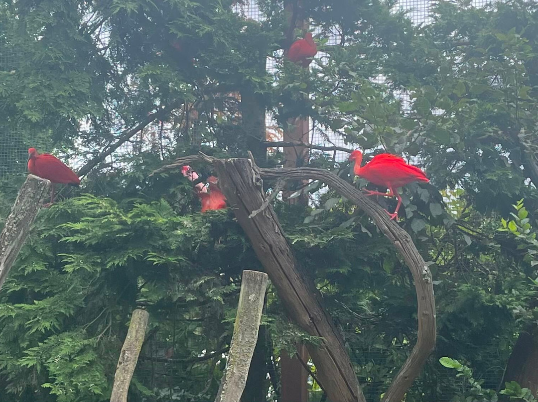Parc Animalier Des Pyrénées-Ayzac-Ost必去景点