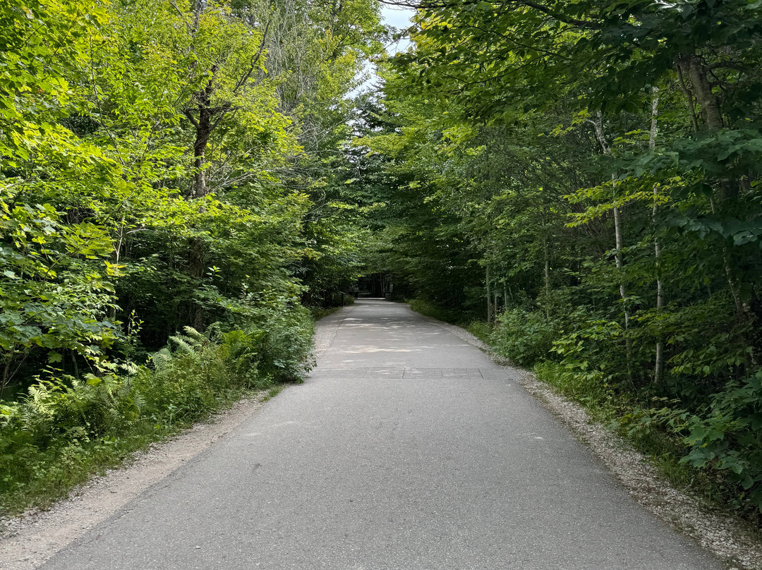 Tahquamenon Falls State Park-Paradise必去景点