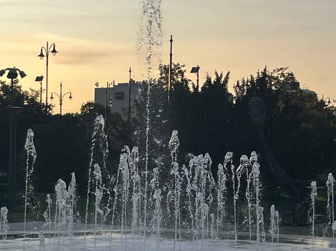 Cosmopolis Fountain-托伦古镇必去景点