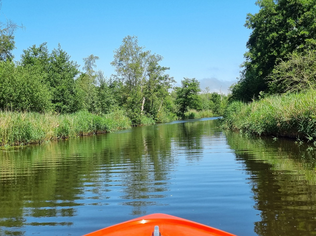 Richardsons Boating Holidays-Stalham必去景点