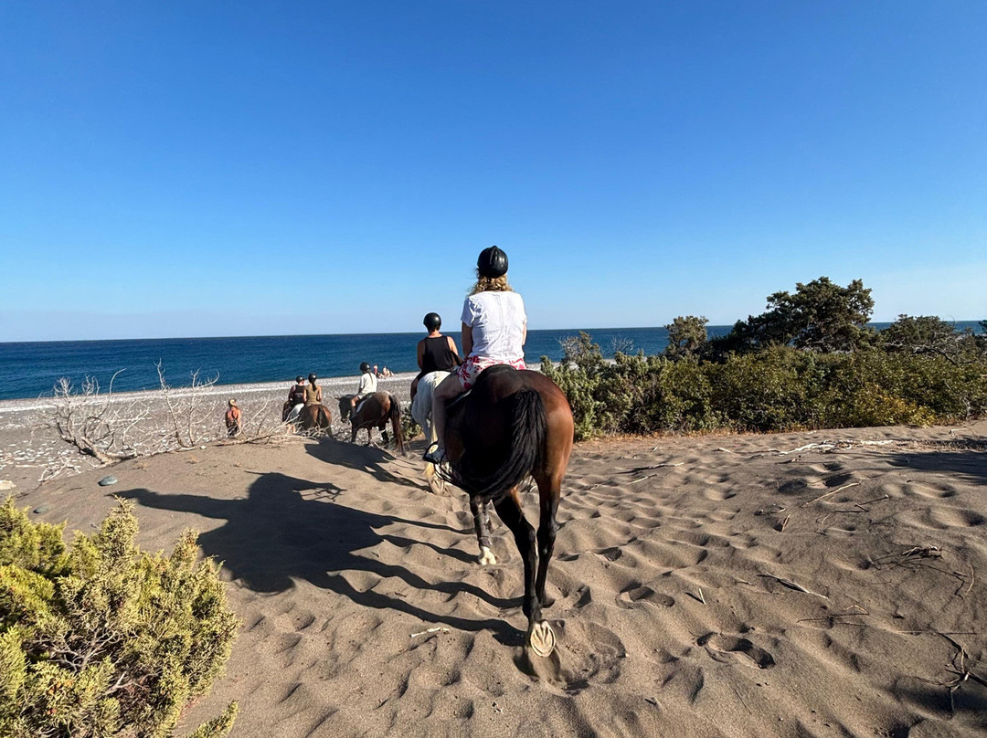 Rocking Horse Ranch-Gennadi必去景点