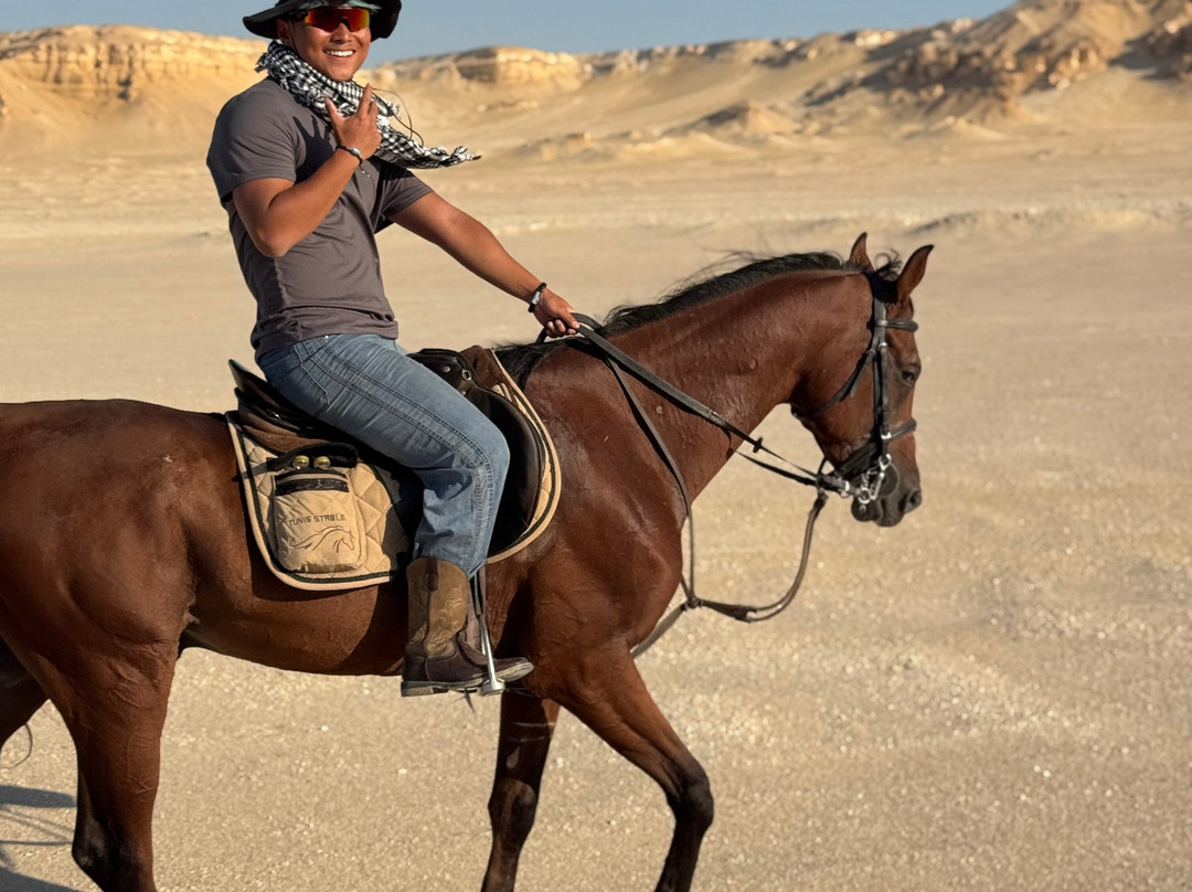 Horse Trips Egypt-Tunis必去景点