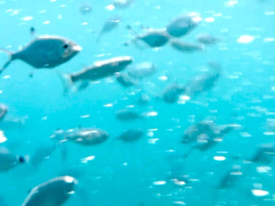 摩纳哥天然海滩主图