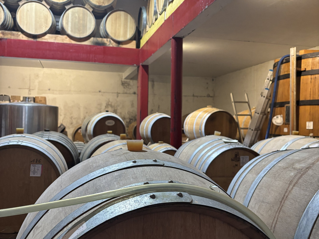 Cidrerie-Distillerie Théo Capelle-瑟堡-奥克特维尔必去景点